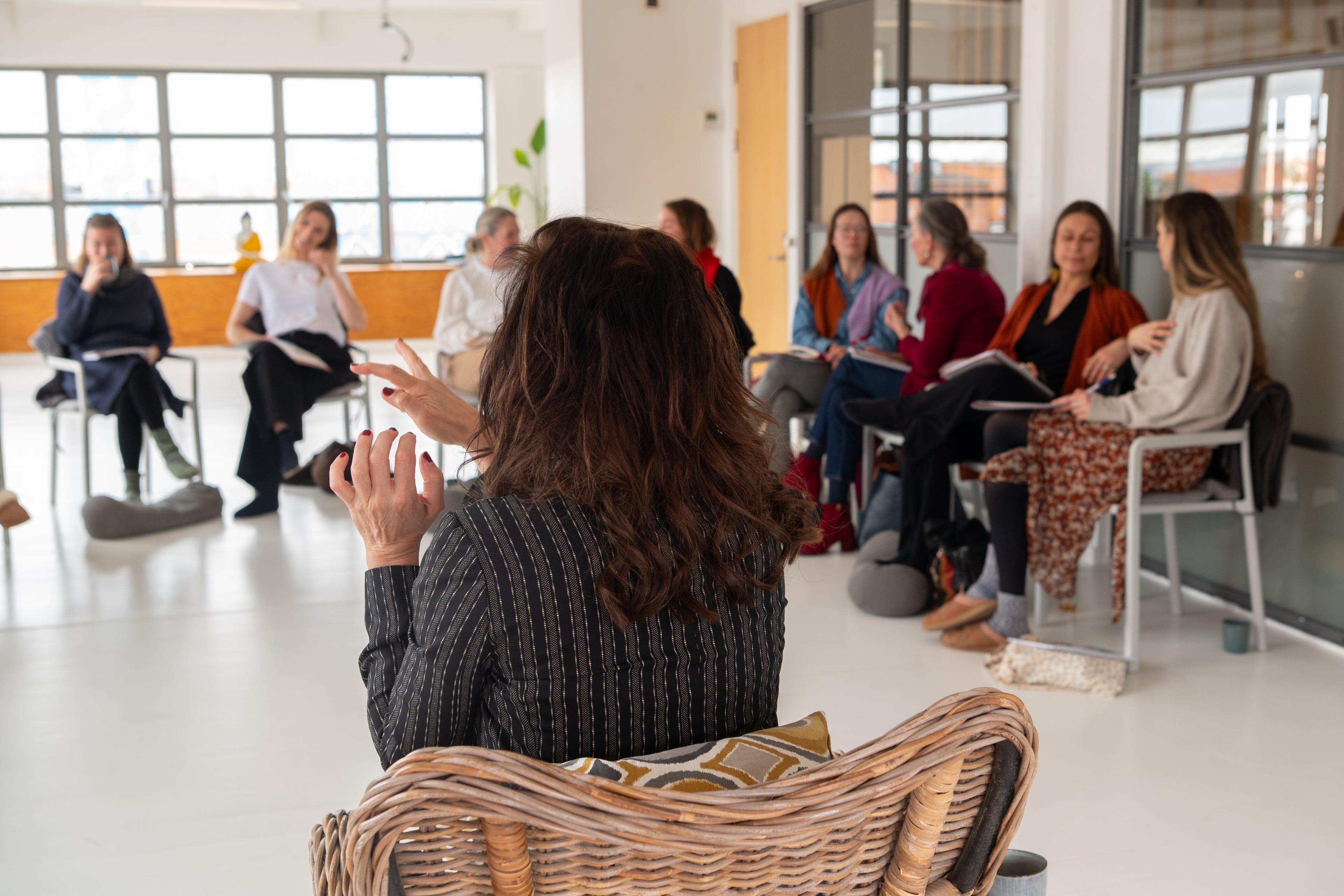 Master i Nervesystembaseret ledelse